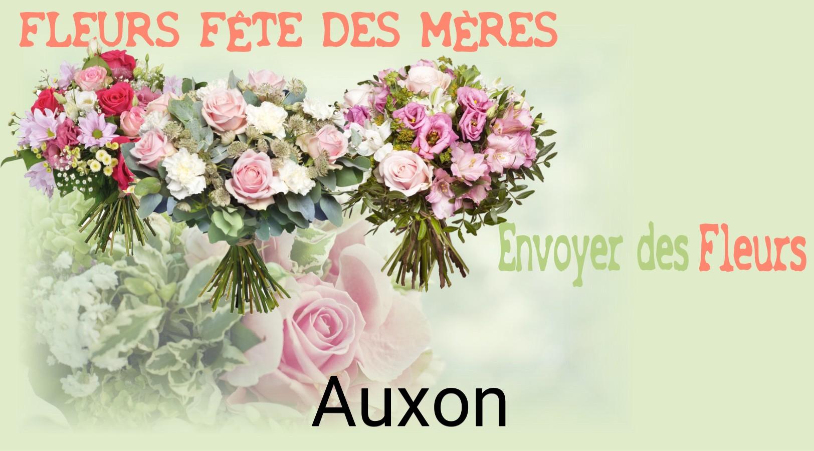 Bouquet de Fête des Mères livré à Auxon